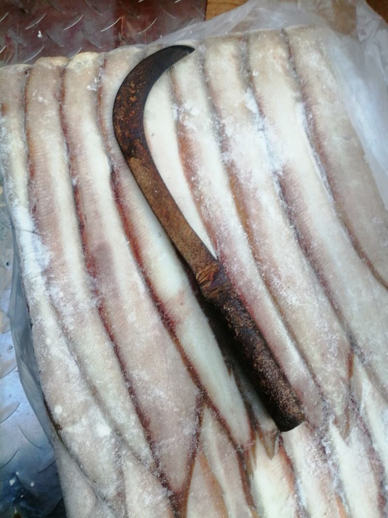 北部湾龙利鱼，价格连美，品质优美，大众适用
