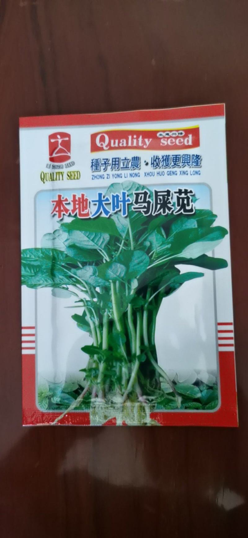 本地大叶马屎苋菜种子