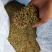 江西省车前草