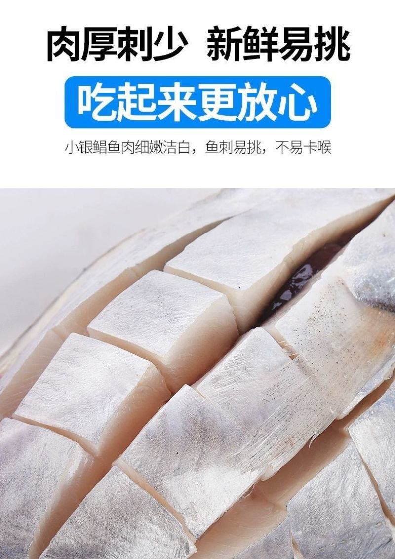 鲳鱼白鲳鱼海捕白鲳鱼银鲳鱼刺少肉多鲜嫩美