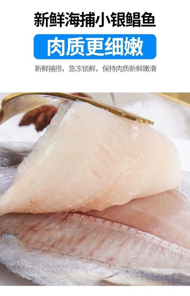 鲳鱼白鲳鱼海捕白鲳鱼银鲳鱼刺少肉多鲜嫩美