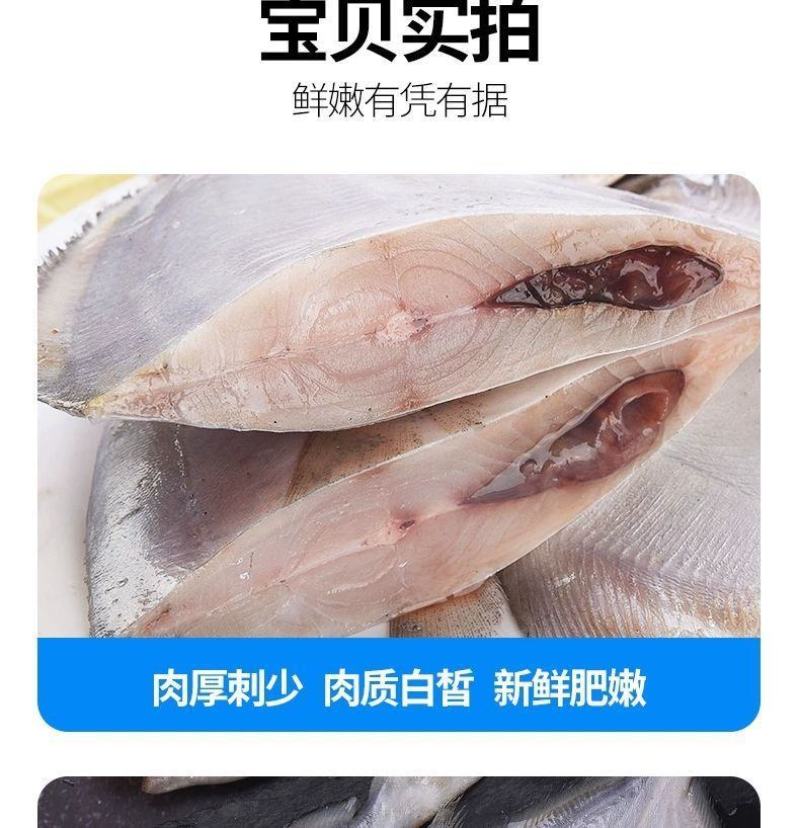 鲳鱼白鲳鱼海捕白鲳鱼银鲳鱼刺少肉多鲜嫩美