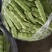 辽宁锦州北镇油豆一点红