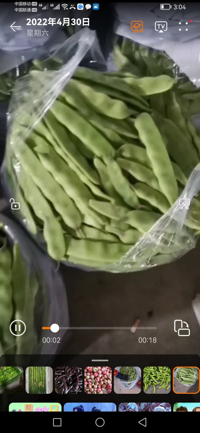 辽宁锦州北镇油豆一点红