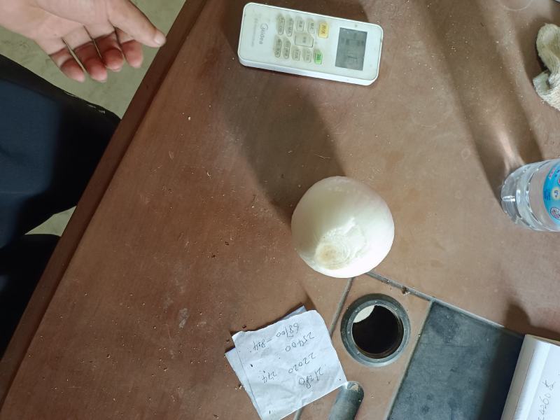 红皮洋葱圆葱头，大量上市，种植基地，货源充足优质葱头