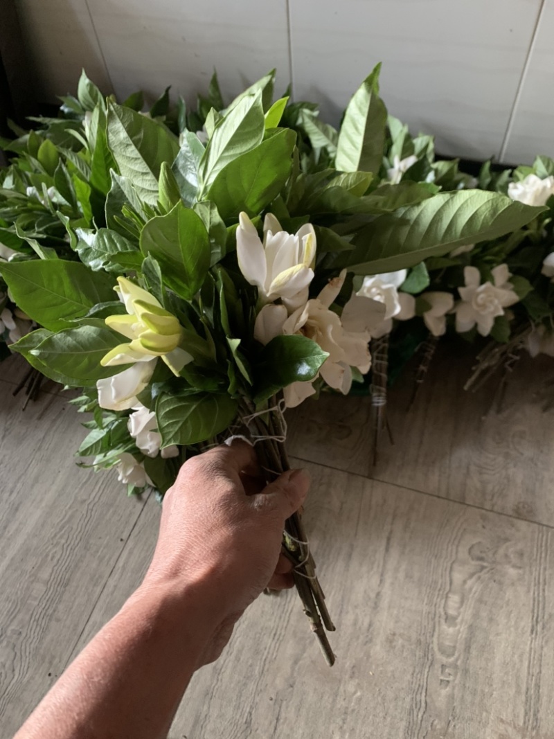 栀子花鲜切花.把把儿花大量出售需要的老板请联系我，