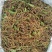 新货大量上市，野生精品鲜一支箭，欢迎订购。