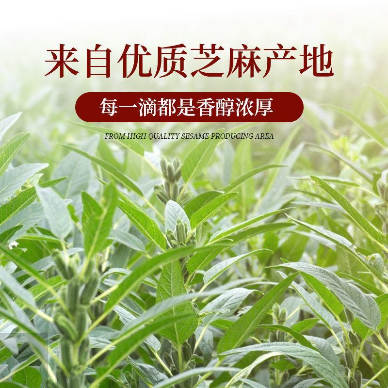 纯正黑芝麻香油正宗小磨香油月子油凉拌菜火锅油农商用包邮