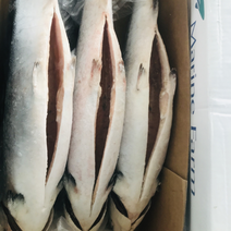 冷冻三文鱼，5-6，6-7，7-8全规格长期供应