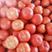 河北精品硬粉西红柿，圆，亮，诚信代发：超市，市场，电商。