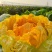 橘红色白菜种子秋季种植口感好柔红白菜