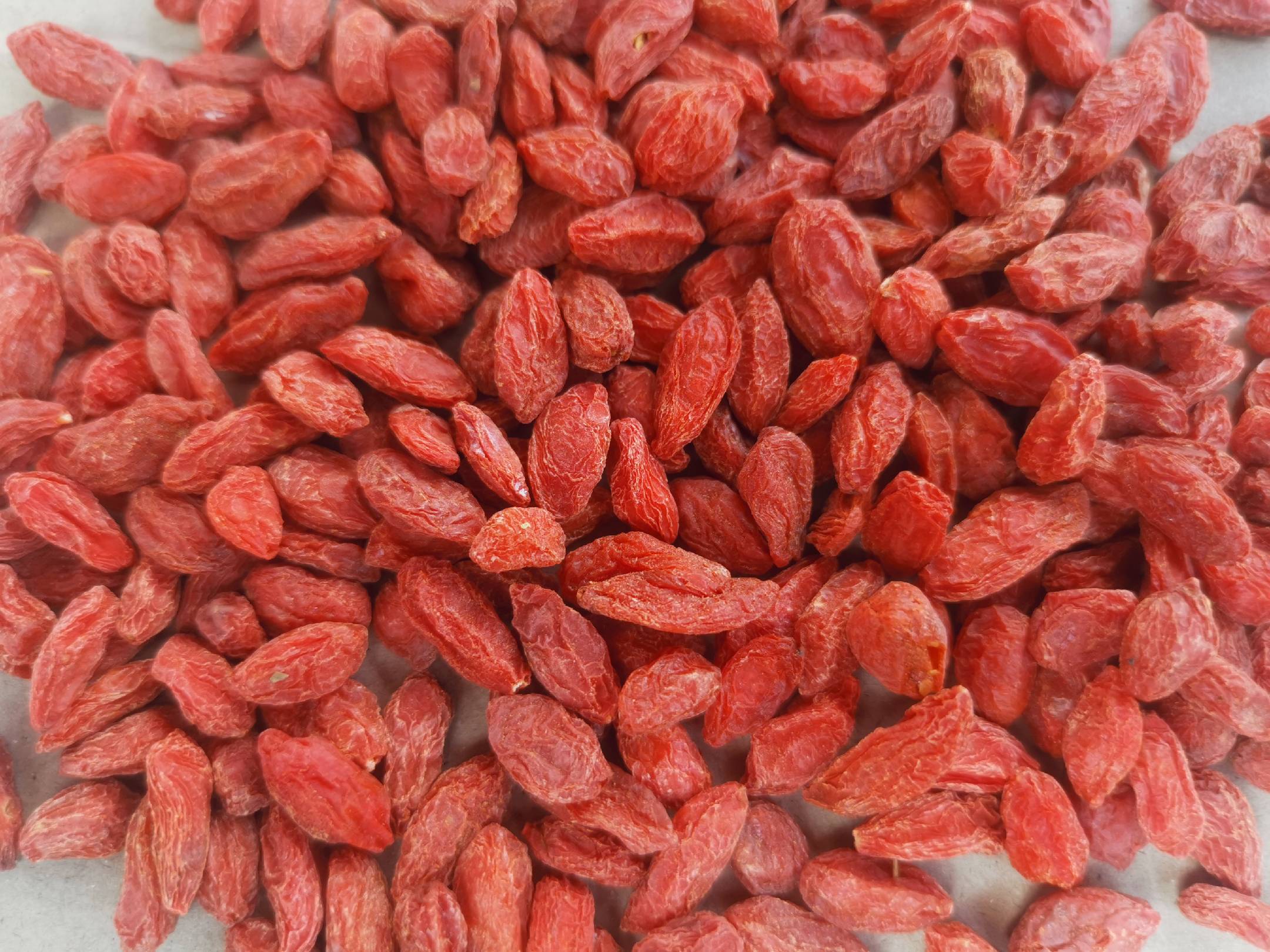 现代化实验室中,技术人员正在使用高效液相色谱仪检测红枸杞中的活性成分含量,桌上摆放着样品瓶、检测仪器和标准文件,墙上贴有‘GB/T 18672-2023’标识,体现科学化、标准化质检流程 红枸杞检测实验室场景