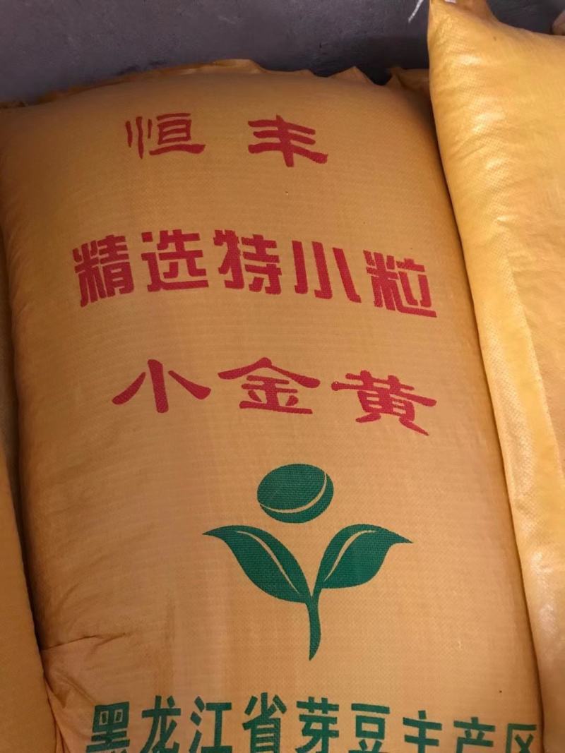 芽豆小粒中粒黄豆芽菜豆生豆芽专用豆子黄芽豆