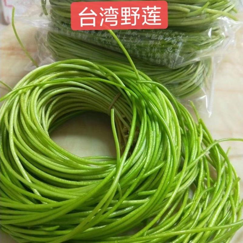 出售：台湾野莲，可长年大量供应货量，欢迎长期合作。