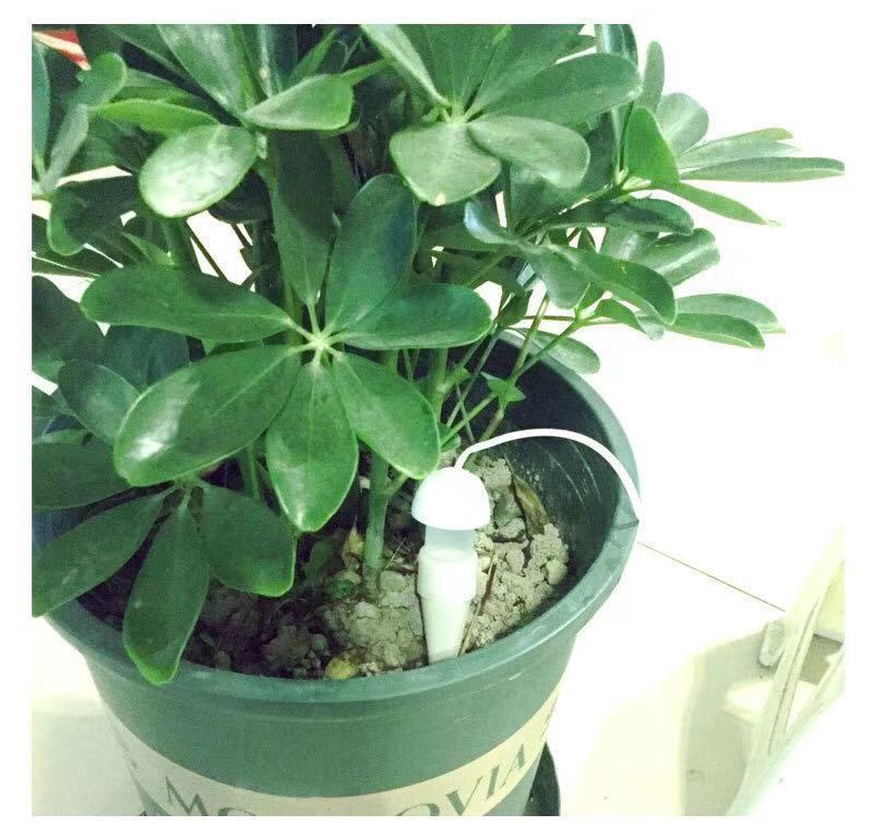 浇花神器假期出差自动浇水器家用滴灌浇花器滴水器盆栽渗水器