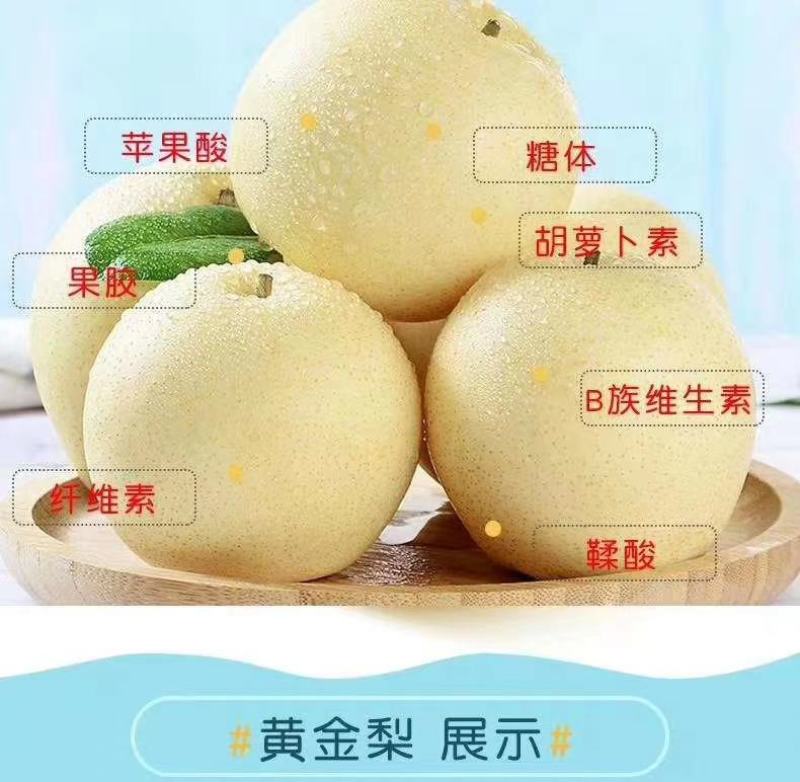 河南许昌黄金梨，爽脆无渣，自然成熟，