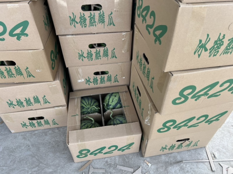 河南无籽美都西瓜皮薄口感甜承接电商平台可代发