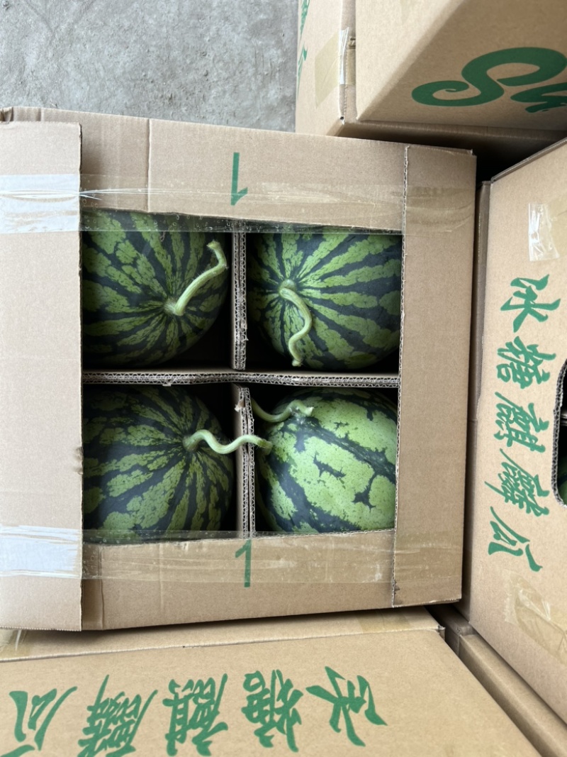 河南无籽美都西瓜皮薄口感甜承接电商平台可代发