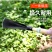 家用拔草挖草野菜神器松土起根器移苗起苗器铲子手动除草园艺