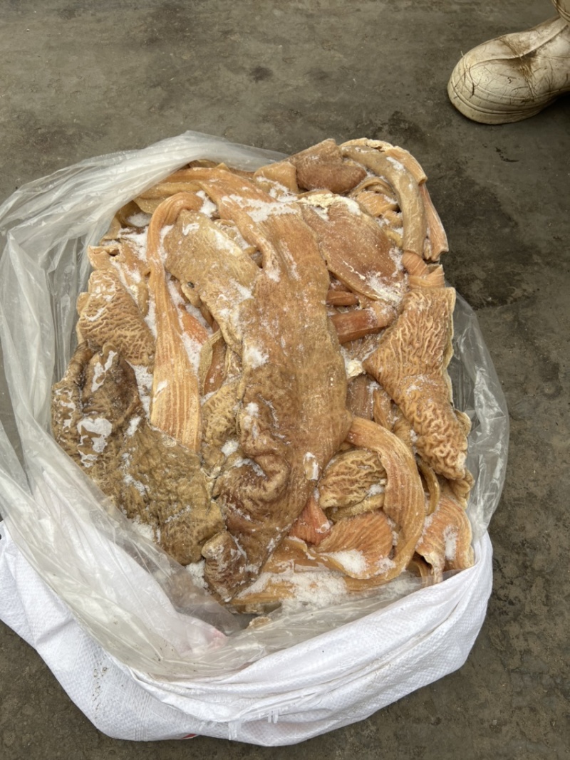 锡盟货去油开水紧过牛大肠20吨现货支持一件样品发货