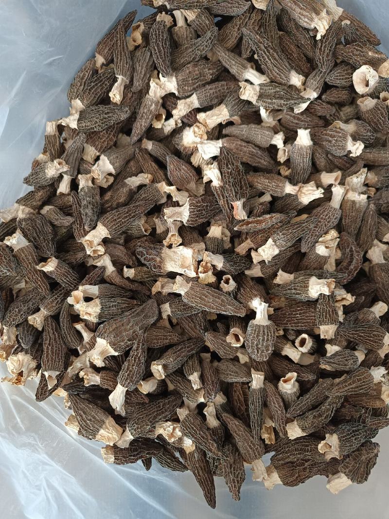 产地直供羊肚菌，各种规格齐全质量保证全国发货