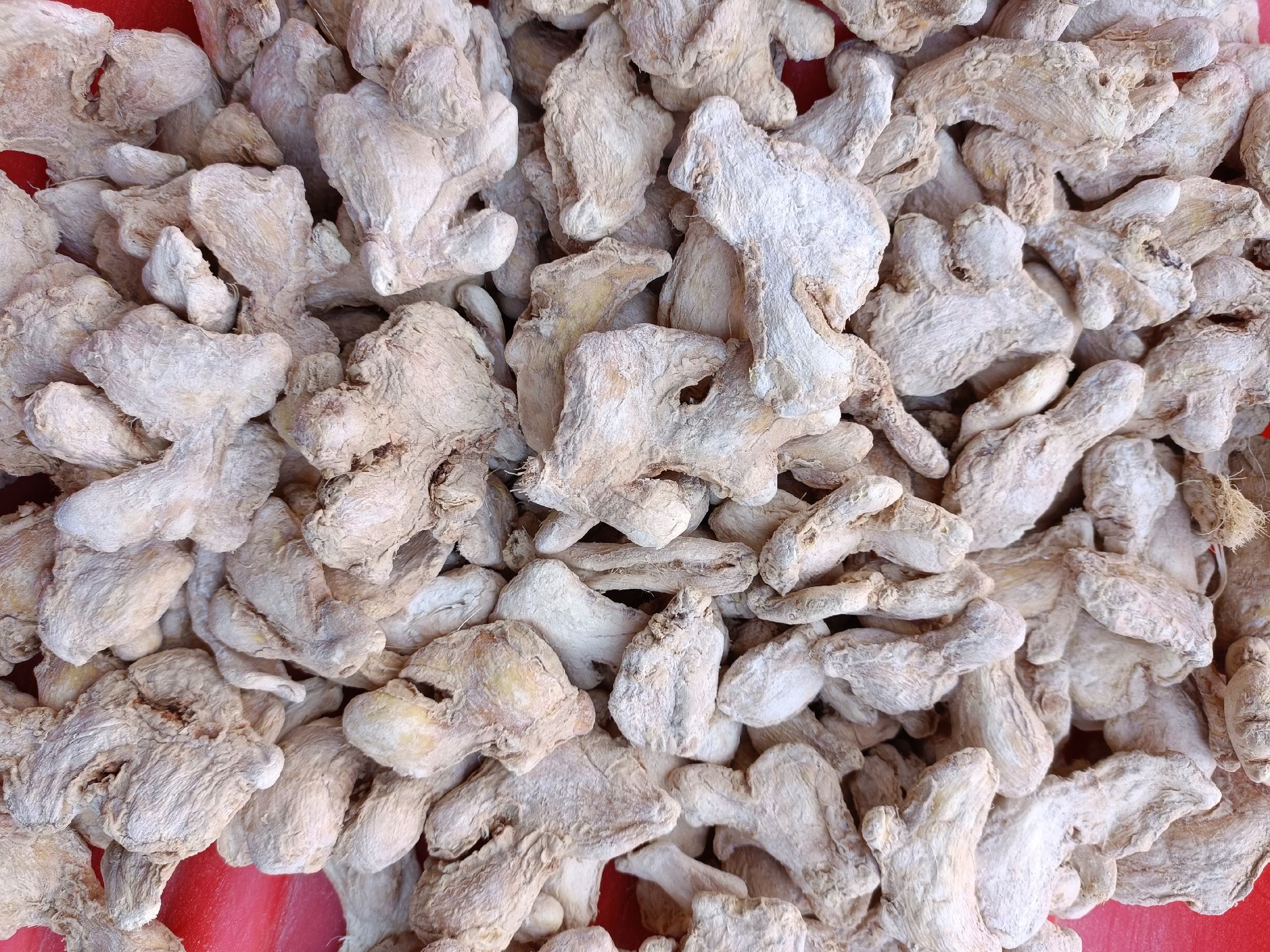 小黄姜与老黄姜对比图