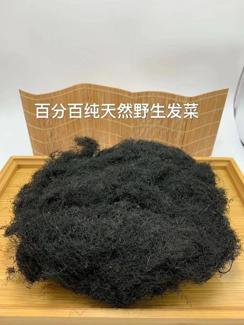 纯野生发财