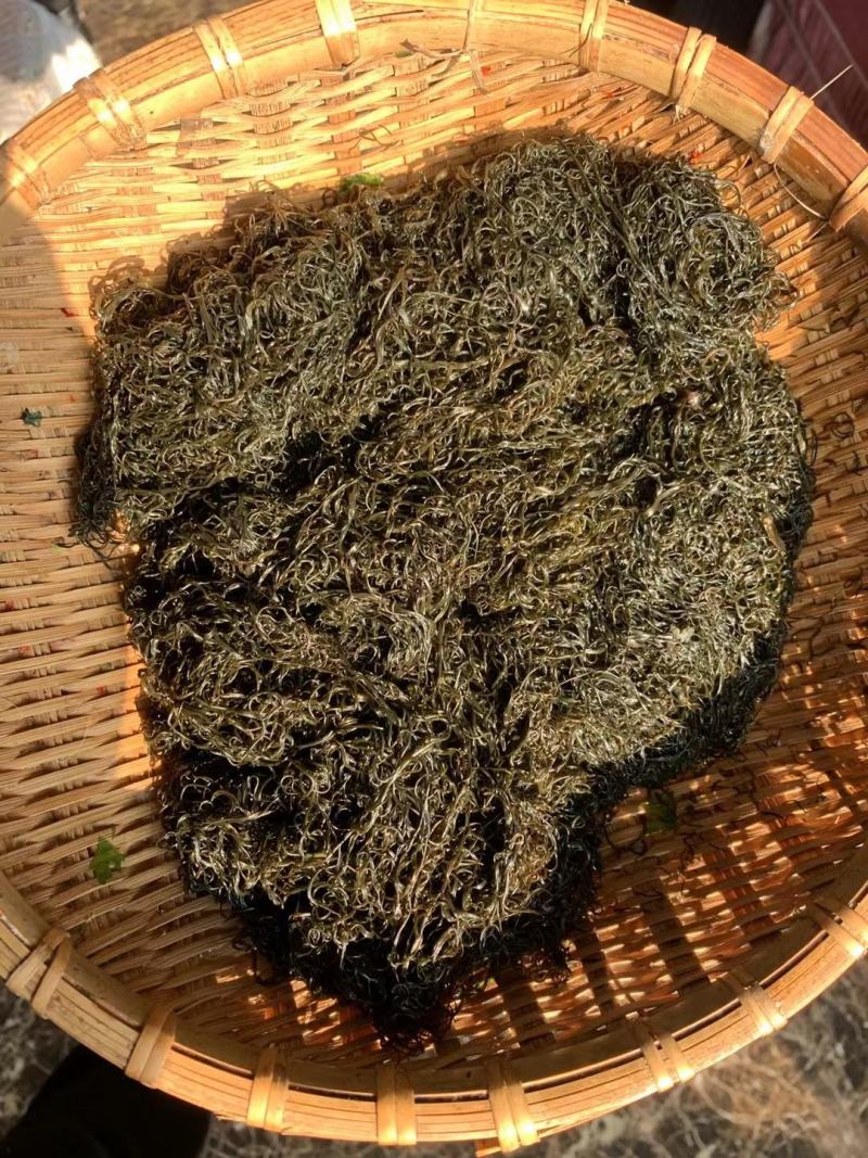 纯野生发财