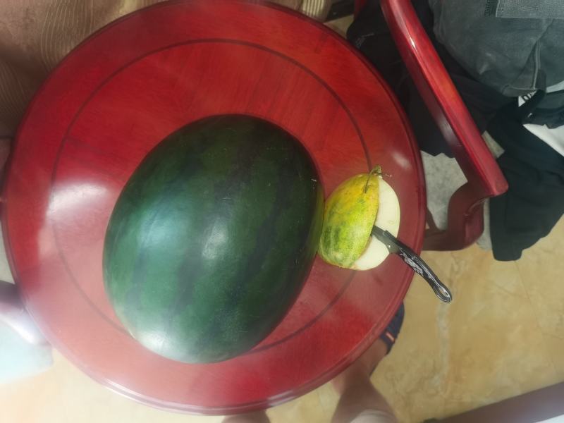 陕西精品甜王