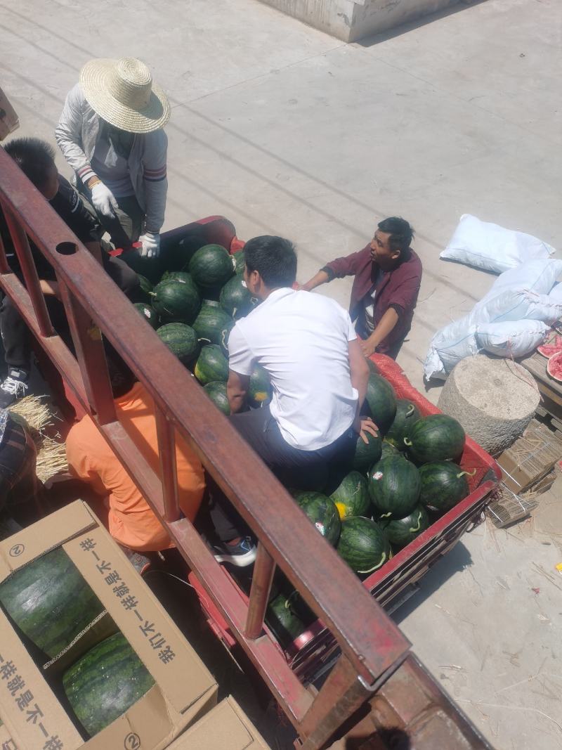 陕西精品甜王