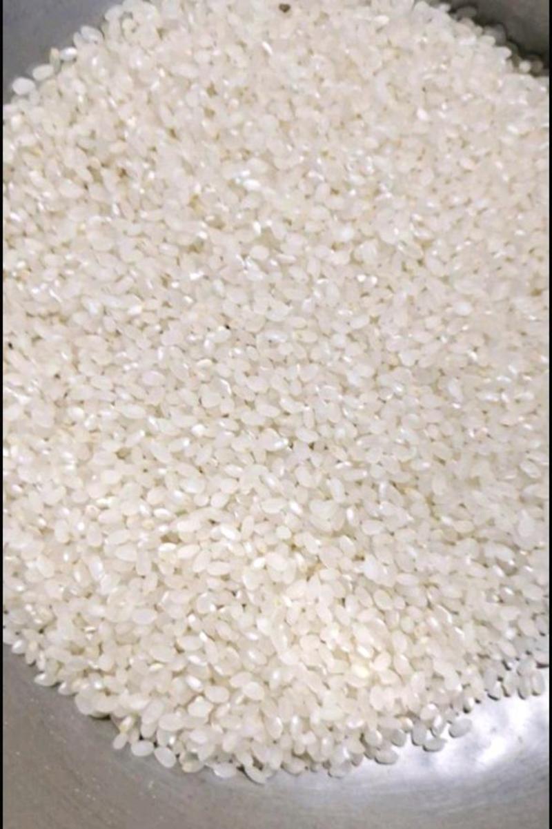 优质苏北大米，圆颗粒米现货大量供应