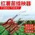 红薯栽苗器农用工具蜜薯地瓜插秧器小型移栽苗神器插秧栽苗器