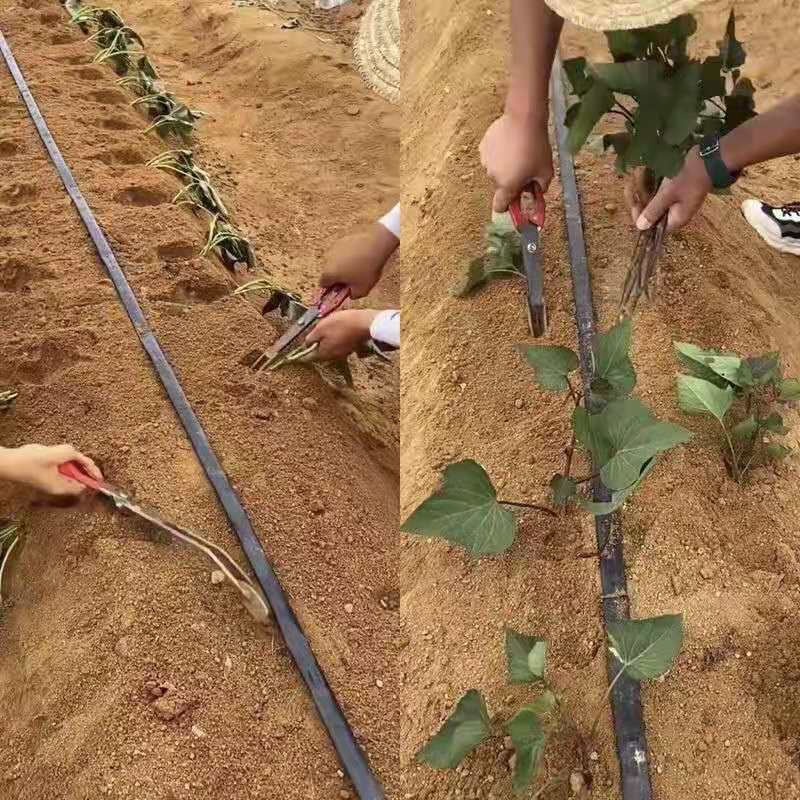 红薯栽苗器农用工具蜜薯地瓜插秧器小型移栽苗神器插秧栽苗器