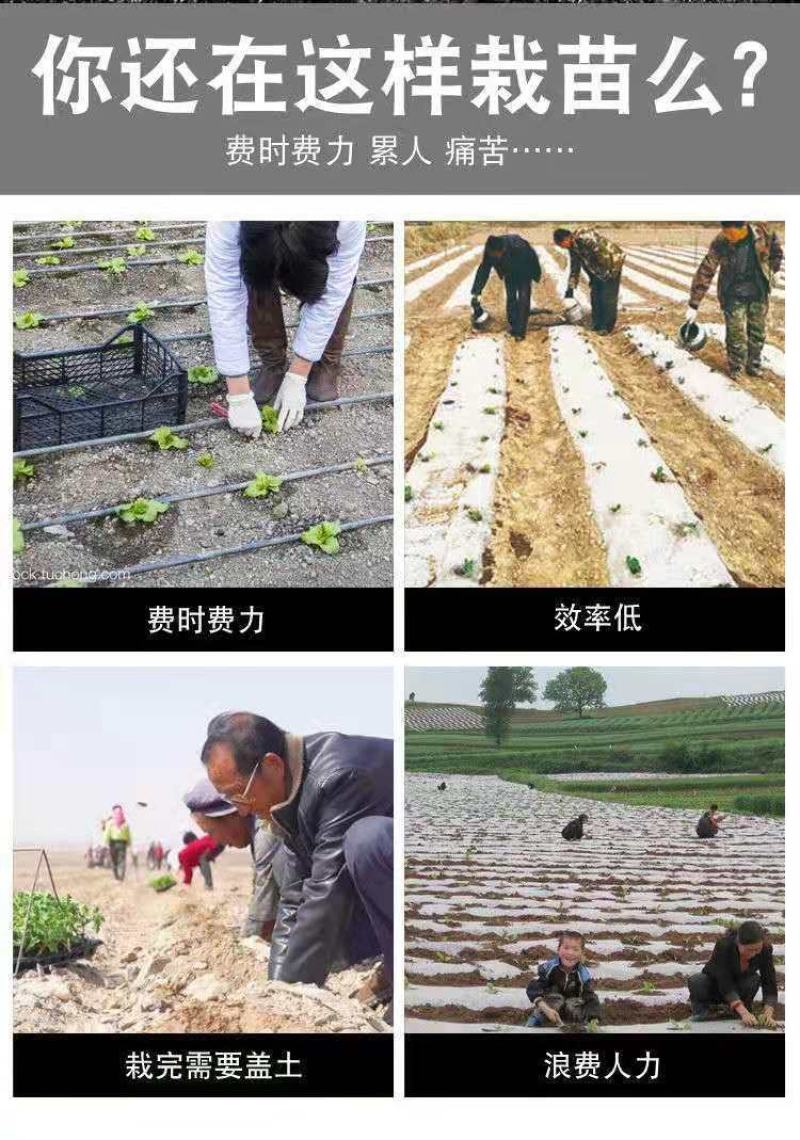 红薯栽苗器农用工具蜜薯地瓜插秧器小型移栽苗神器插秧栽苗器