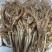 15年老林下山参20g每根
