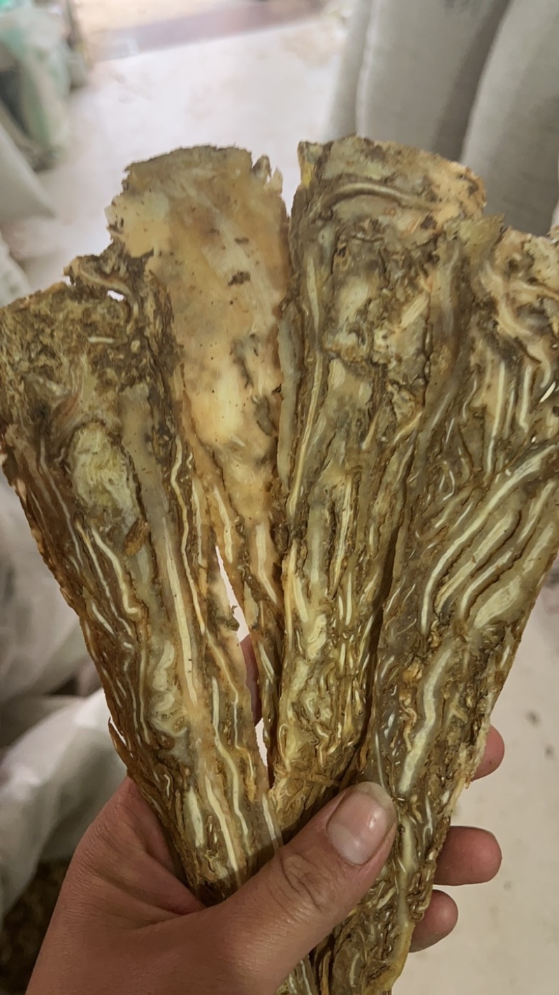 【文斌药业】当归压片当归佛手片甘肃无硫货低价促销