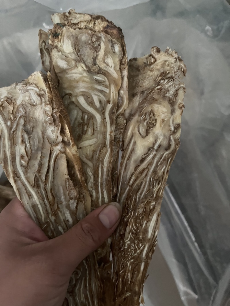 【文斌药业】当归压片当归佛手片甘肃无硫货低价促销