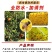 果实蝇诱粘板灭针蜂粘虫板金苍蝇大小实蝇果园瓜园菜园诱铺器