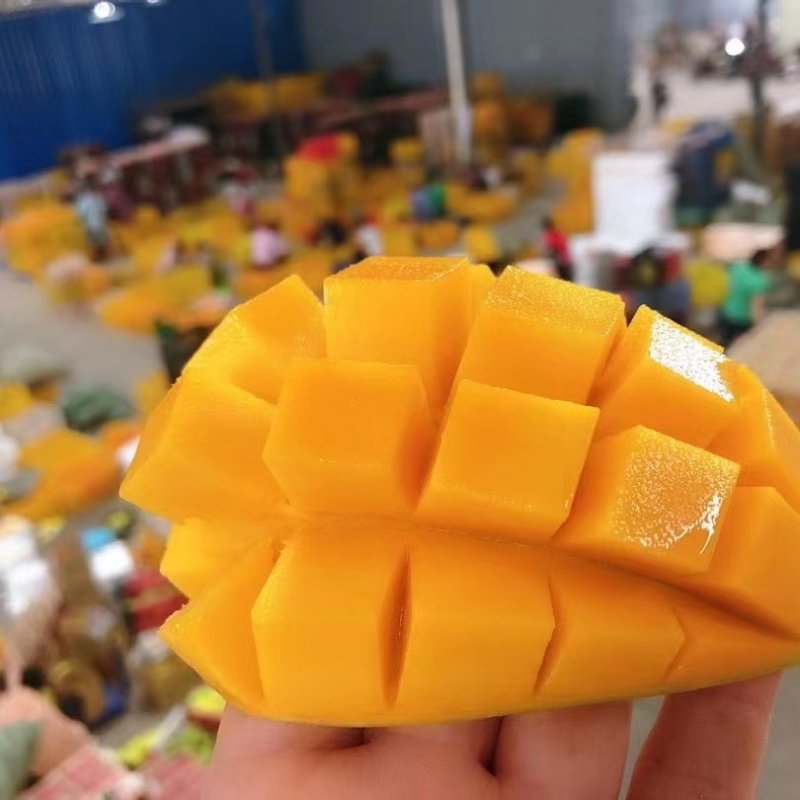 大量出售金煌芒