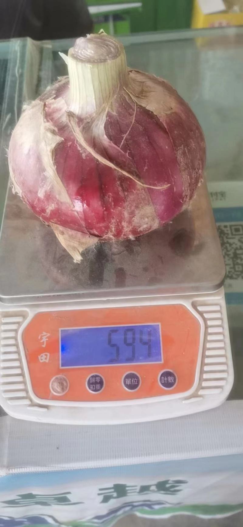 河南精品洋葱，支持各种规格包装发货，原产地直供
