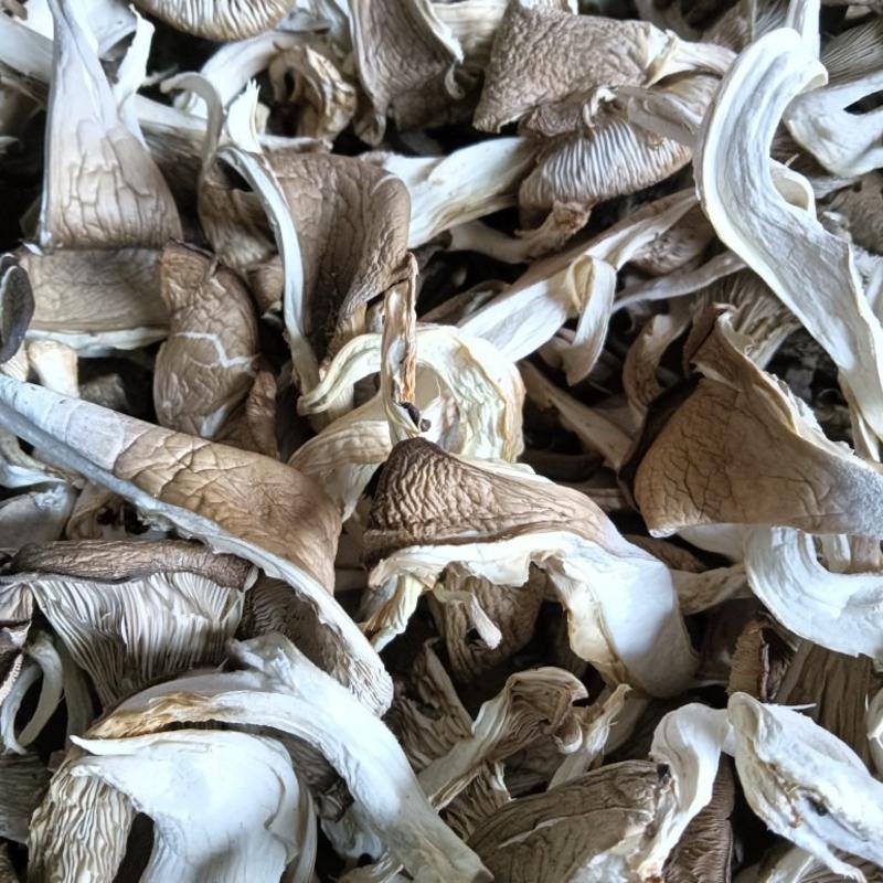 干平菇干蘑菇平菇条2023新货9斤晒1斤各种规格产地直供