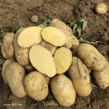 黄心土豆，黄皮黄心，一手货源，质量保证，适合电商，市场。