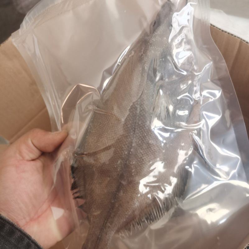 偏口鱼长脖鱼碟鱼比目鱼