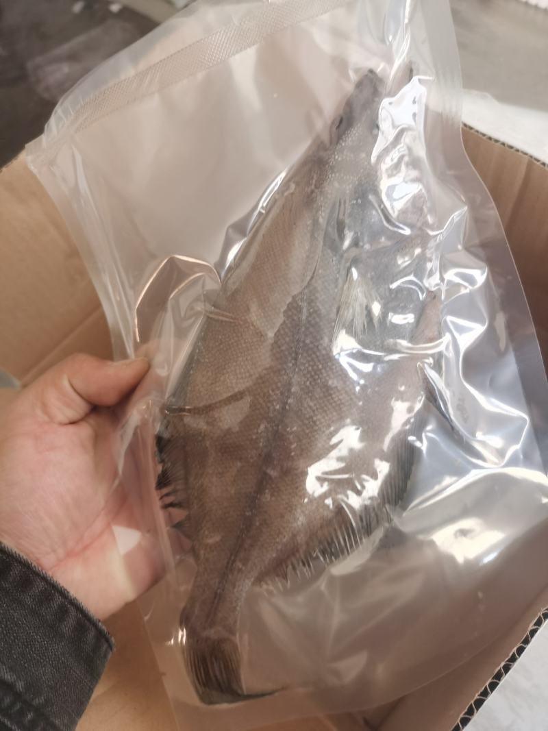 偏口鱼长脖鱼碟鱼比目鱼