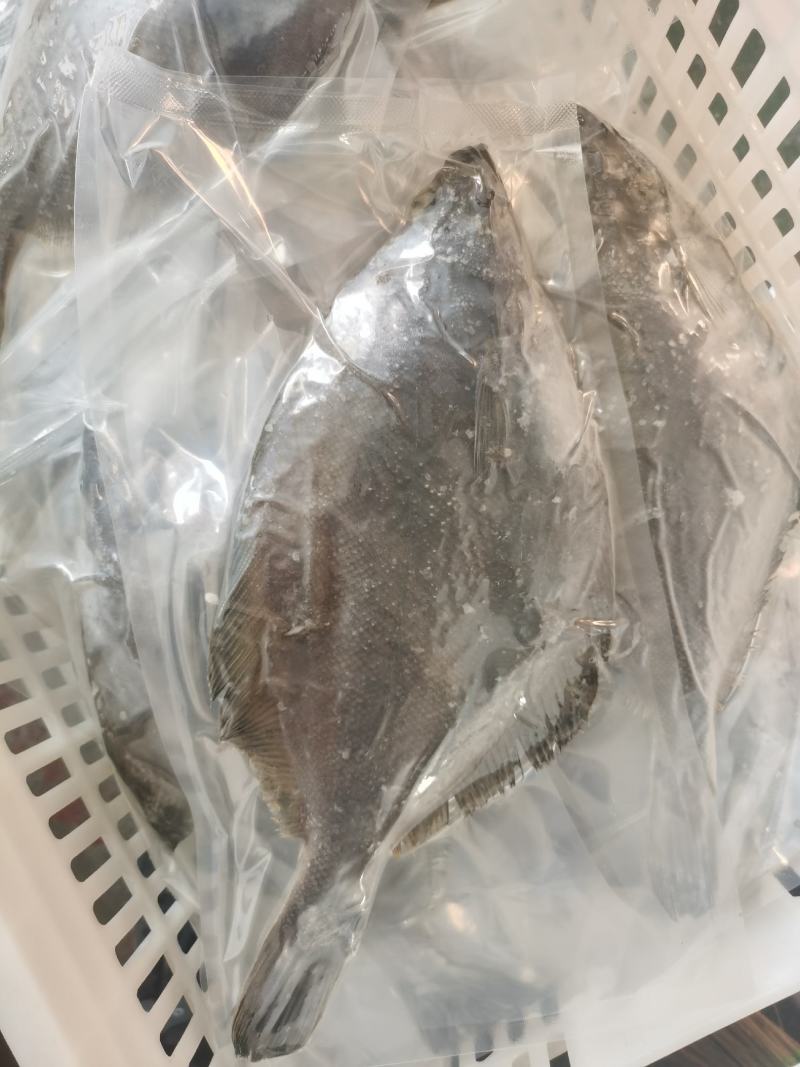 偏口鱼长脖鱼碟鱼比目鱼