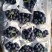 大量夏黑开始供应，暖棚，冷棚，陆地陆续大量上市