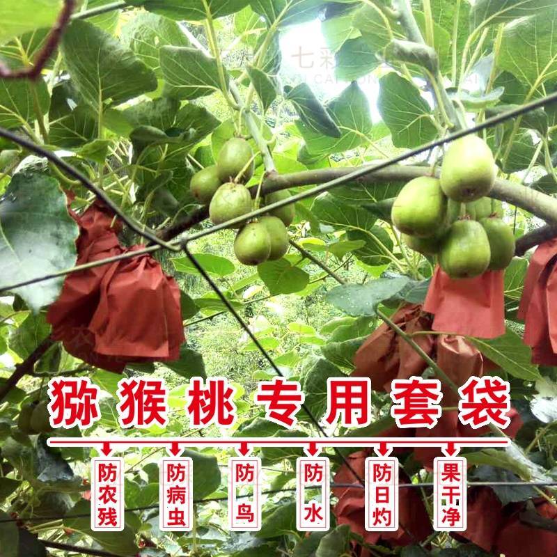 红心猕猴桃果袋黄心猕猴桃套袋育果袋防水防鸟防虫袋