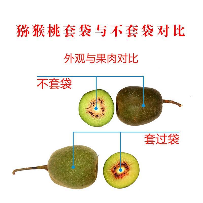 红心猕猴桃果袋黄心猕猴桃套袋育果袋防水防鸟防虫袋