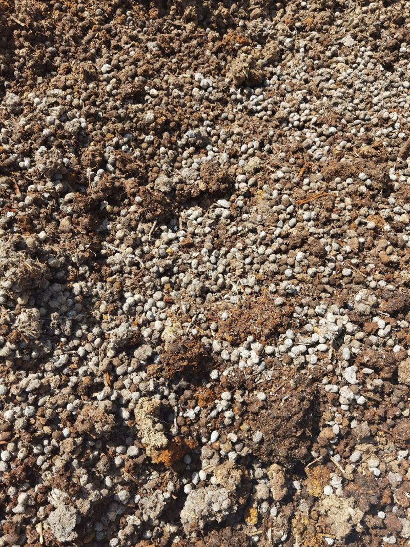 羊粪
