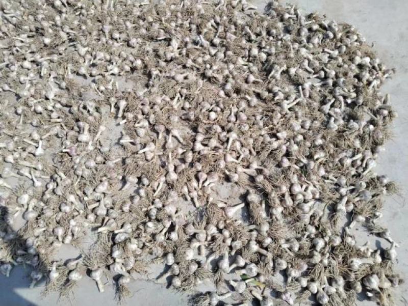我是代办。有需要的可以联系我